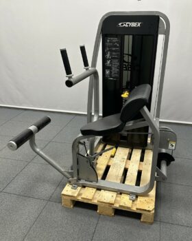 Cybex-Eagle-Abdominal