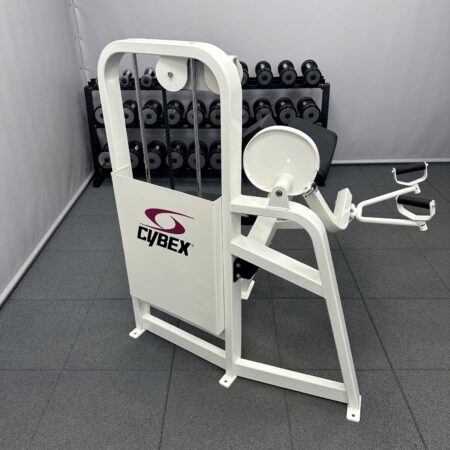 Cybex-VR2-Arm-Curl-1