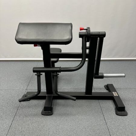 BS-329-Biceps-Triceps-Machine-1