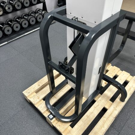 Cybex-Modular-Assisted-Chin-Up-Dip-white-1